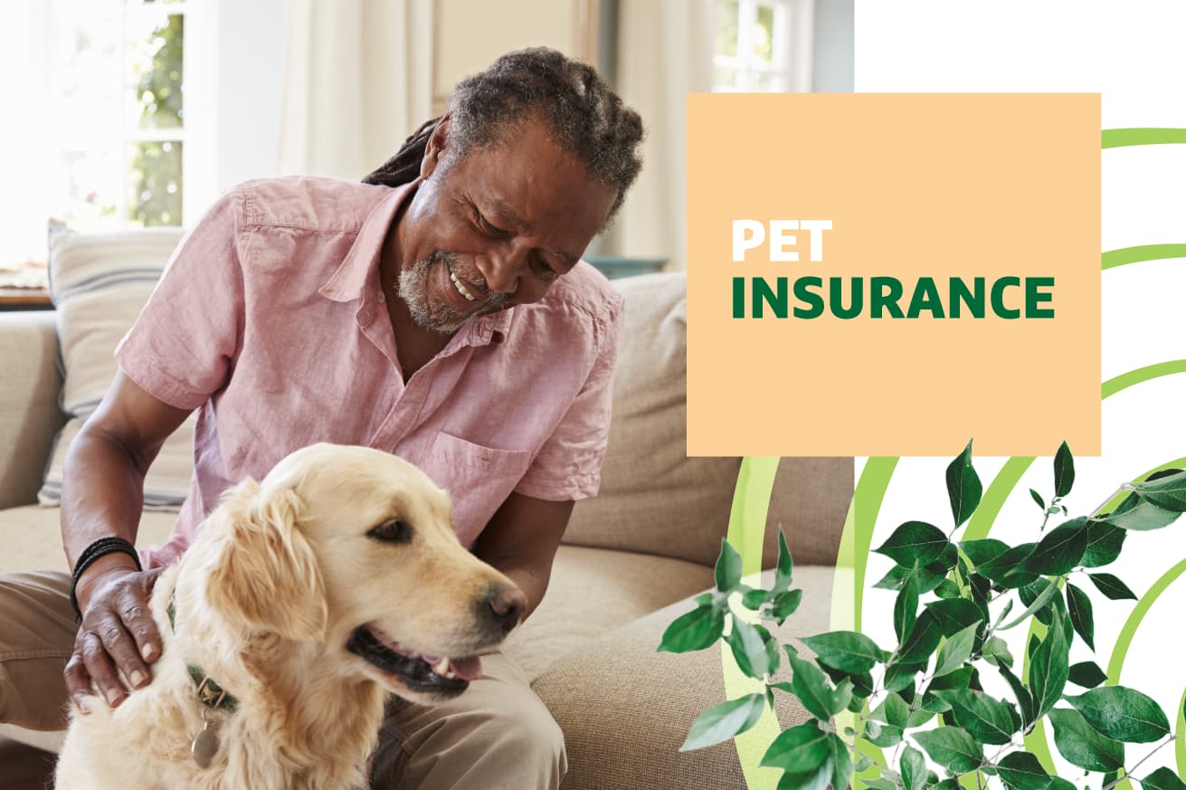 Pet Insurance Costs in 2026: What Dog and Cat Owners Should Know