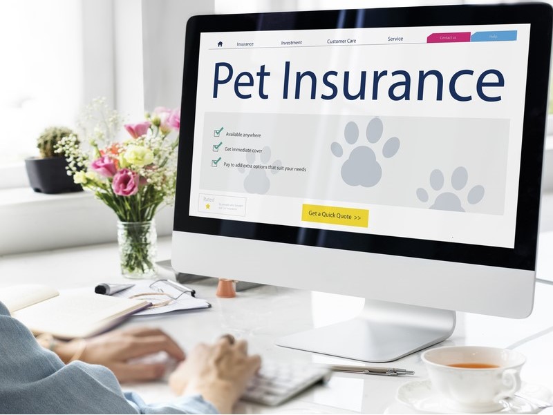 Pet Owners Are Saving Thousands On Vet Bills